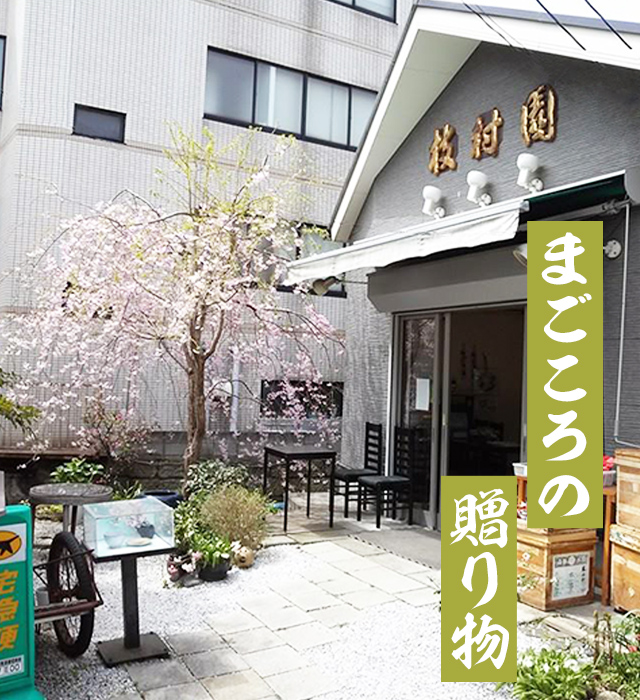 鎌倉まじょえん 鎌倉駅徒歩5分の日本茶専門店